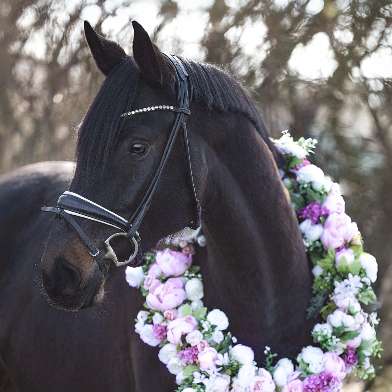 Schwarzes Pferd mit Blumengirlande aus lila und weißen Blumen.